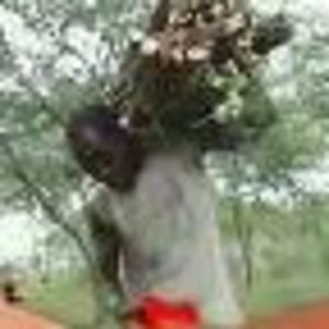 Meet your Posher, Fritz